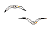 gif of two seagulls flying